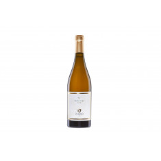 Zaro Pivol 2019